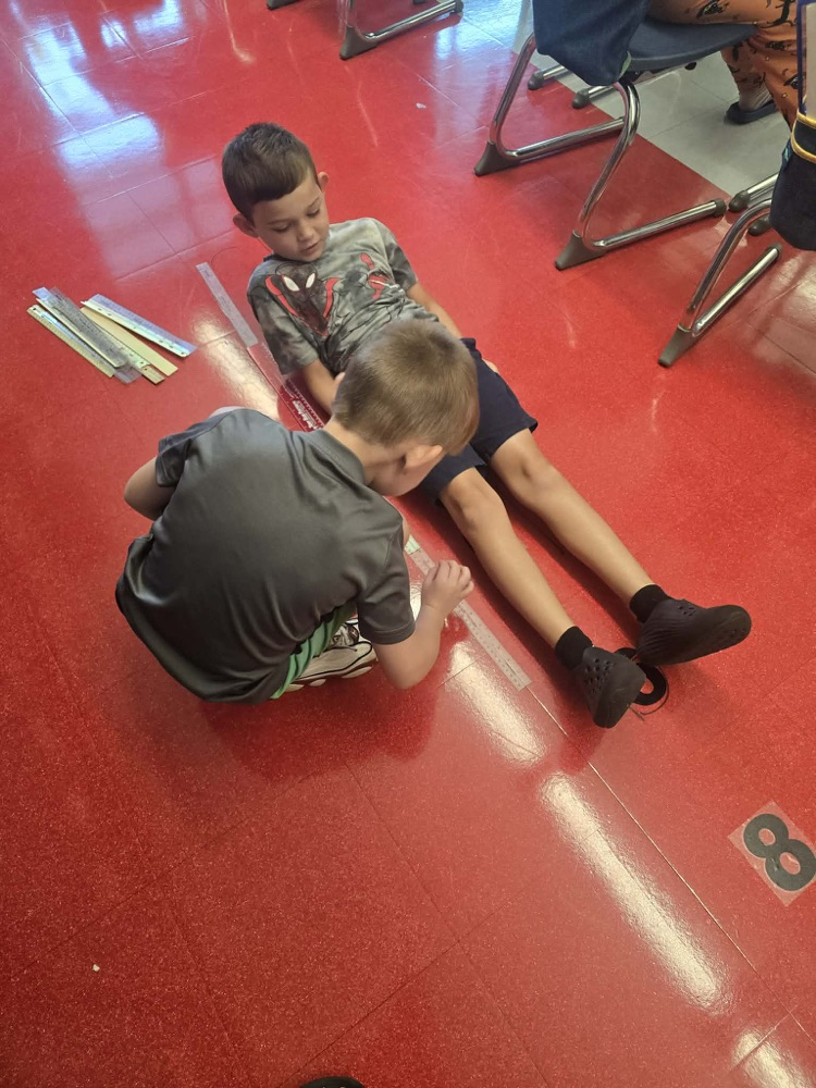 measurement