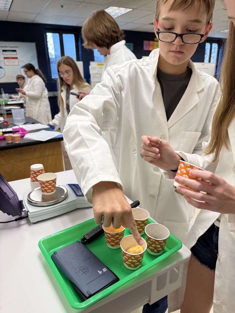 students choosing specimens