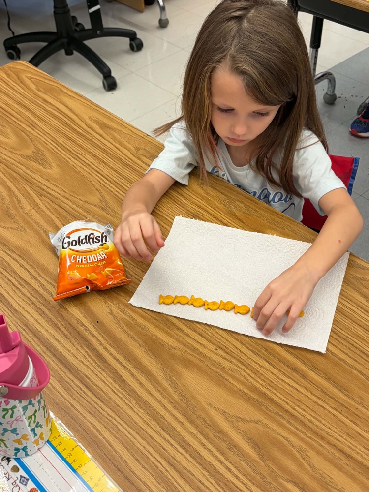 math fun