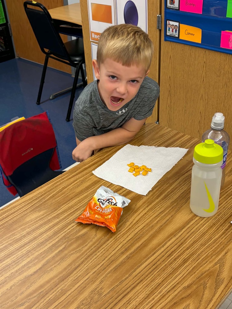 math fun