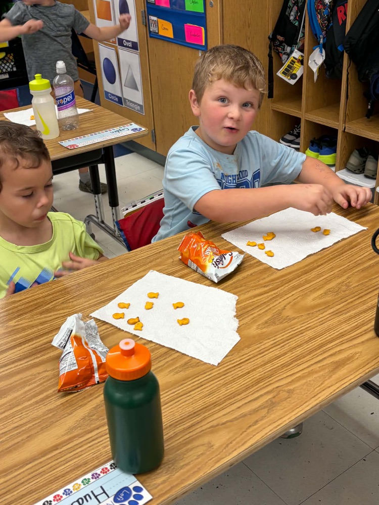 math fun