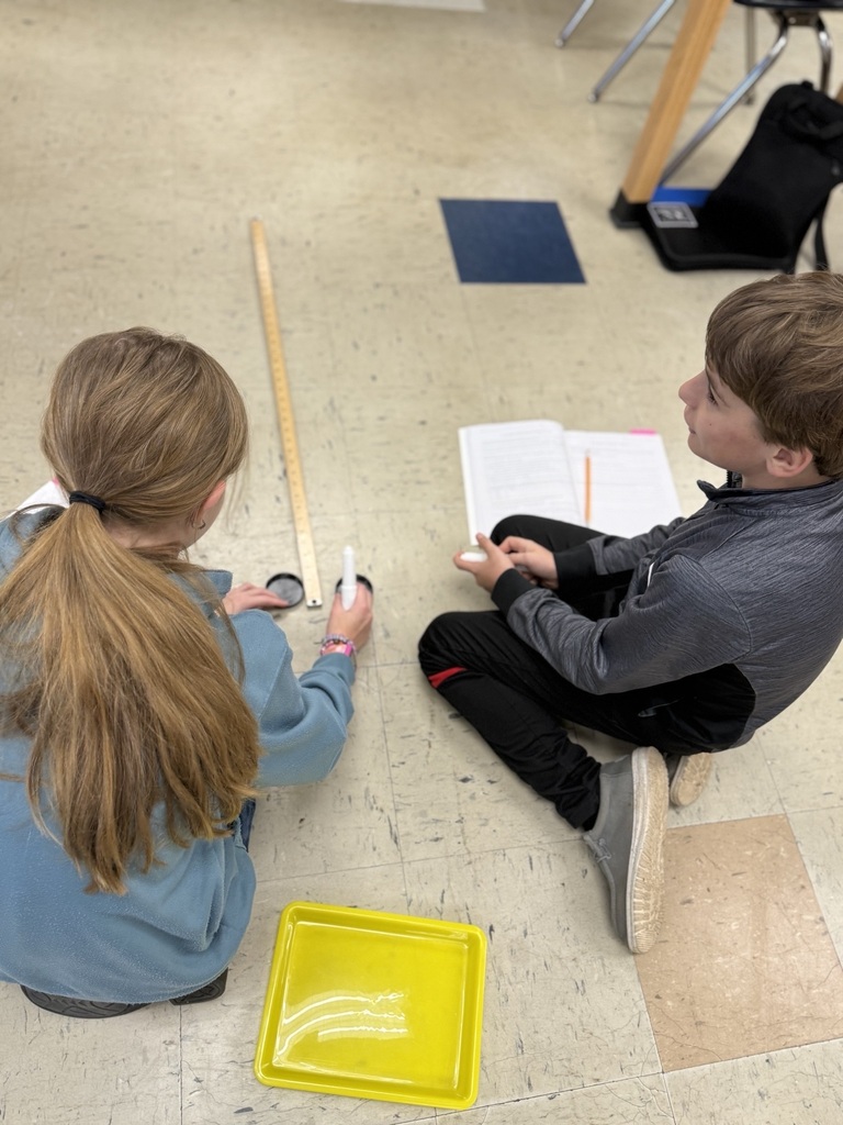 students with meter sticks on the ground