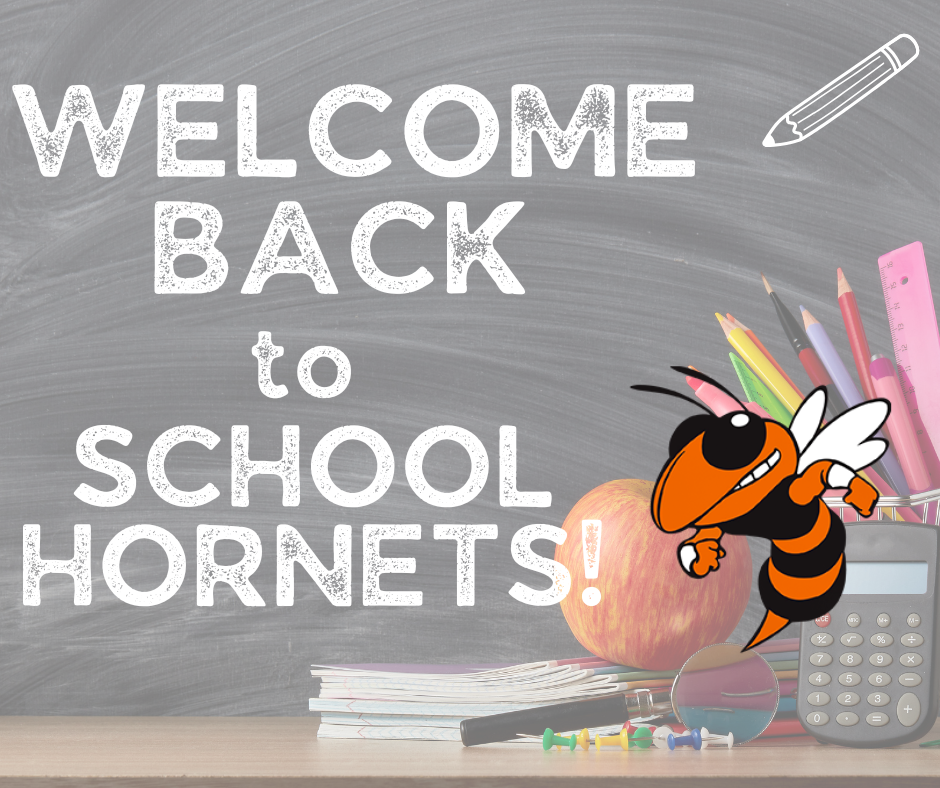 hornet
