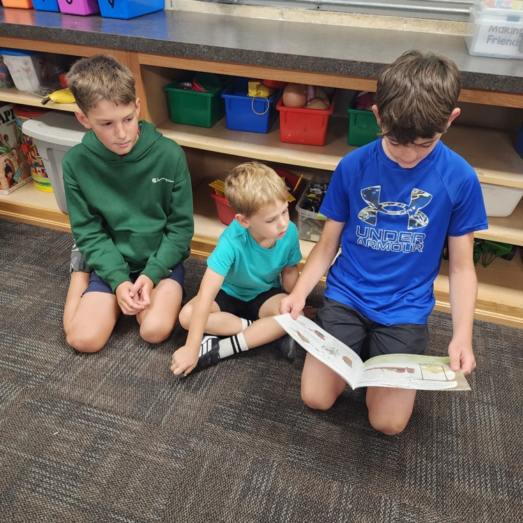 reading