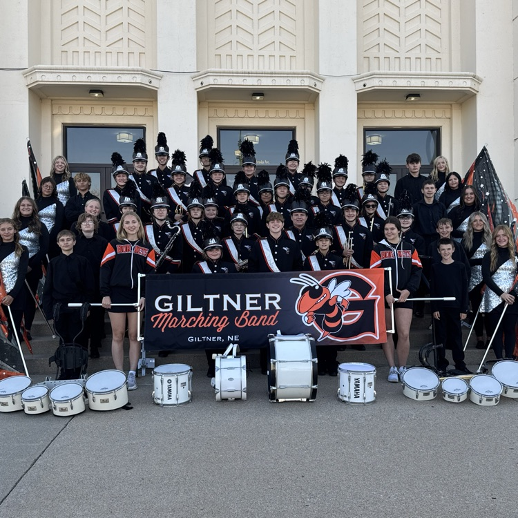 hornet band