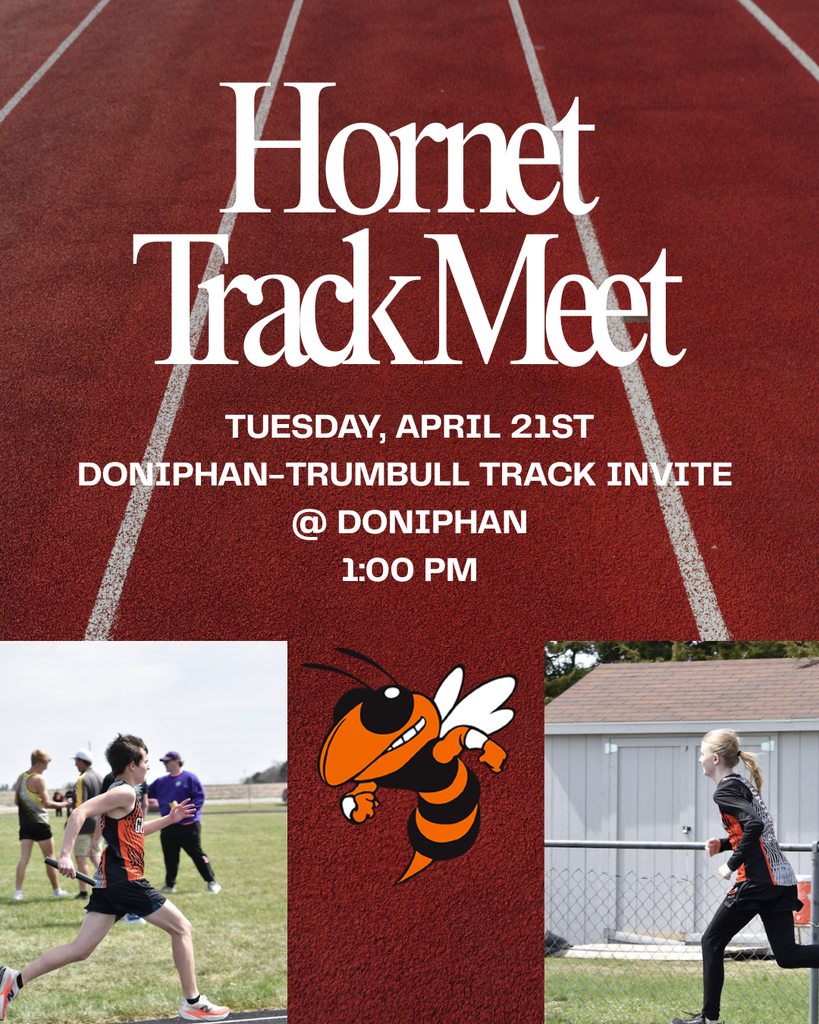 hornet