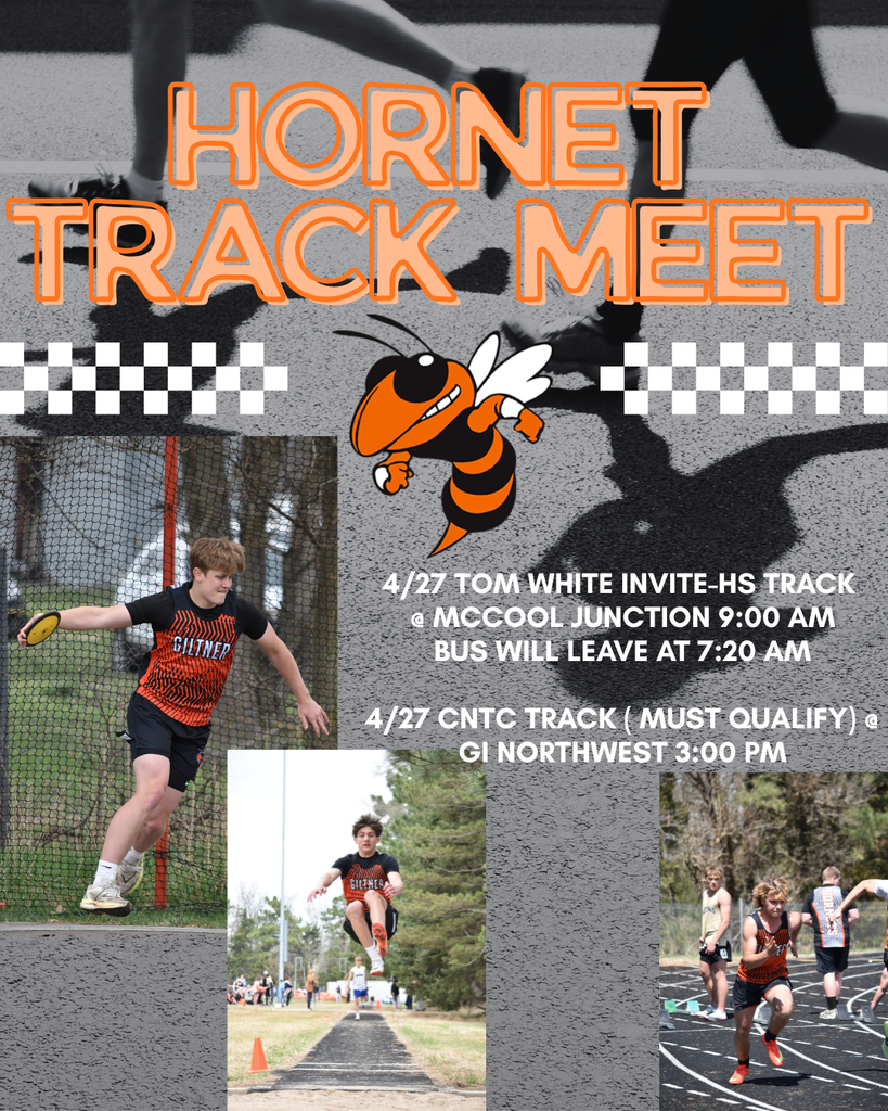 hornet