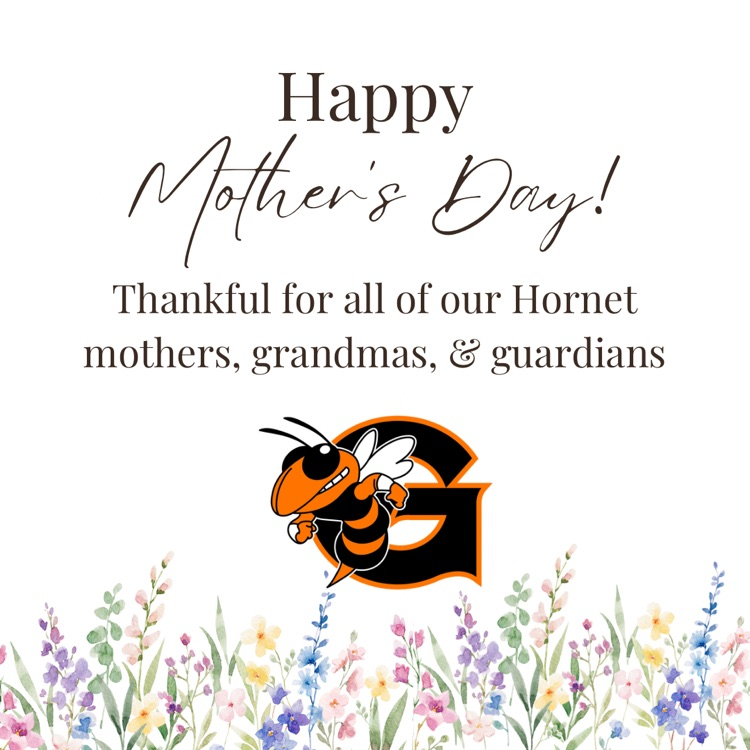 hornet