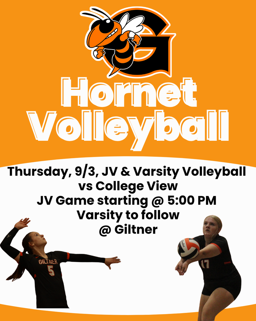 hornet volleyball