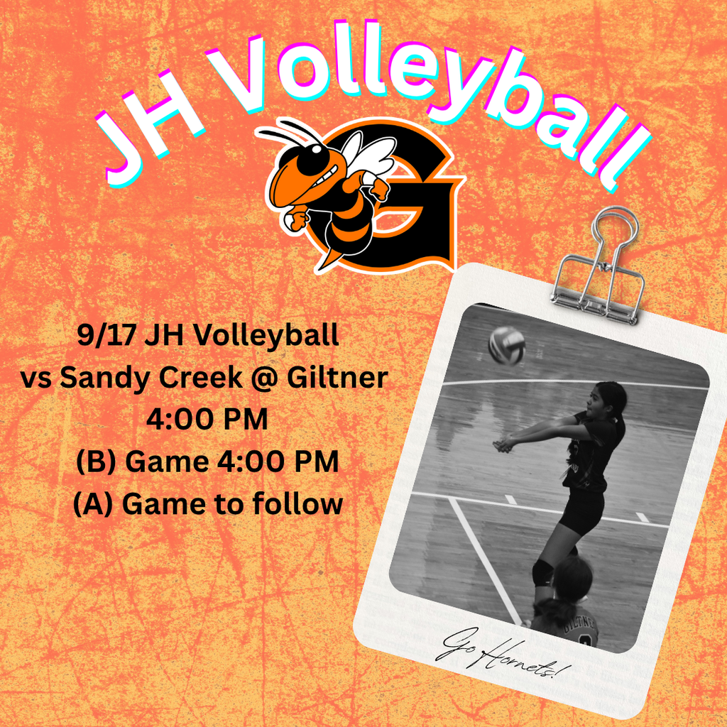 hornet volleyball