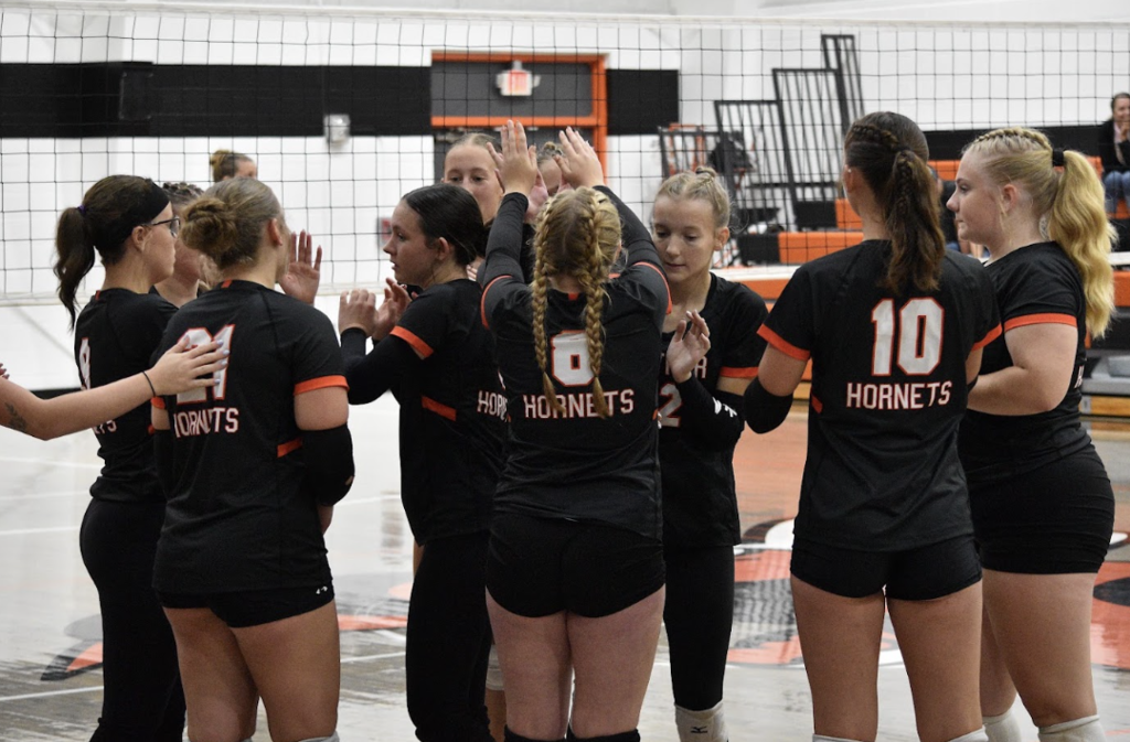 hornet volleyball pic