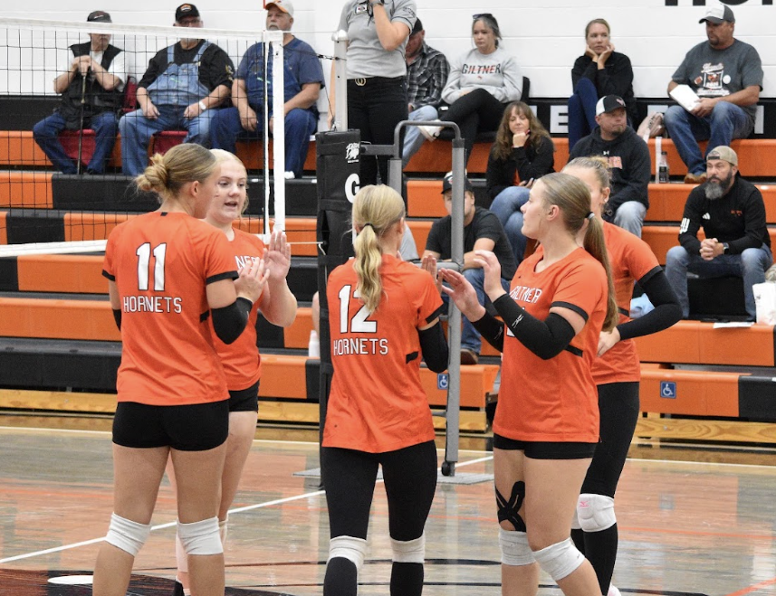 hornet vball team playing