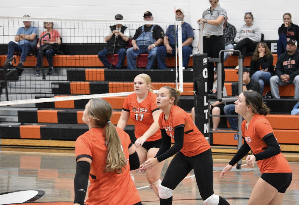 hornet vball team on defense