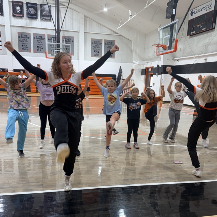 hornet cheer camp