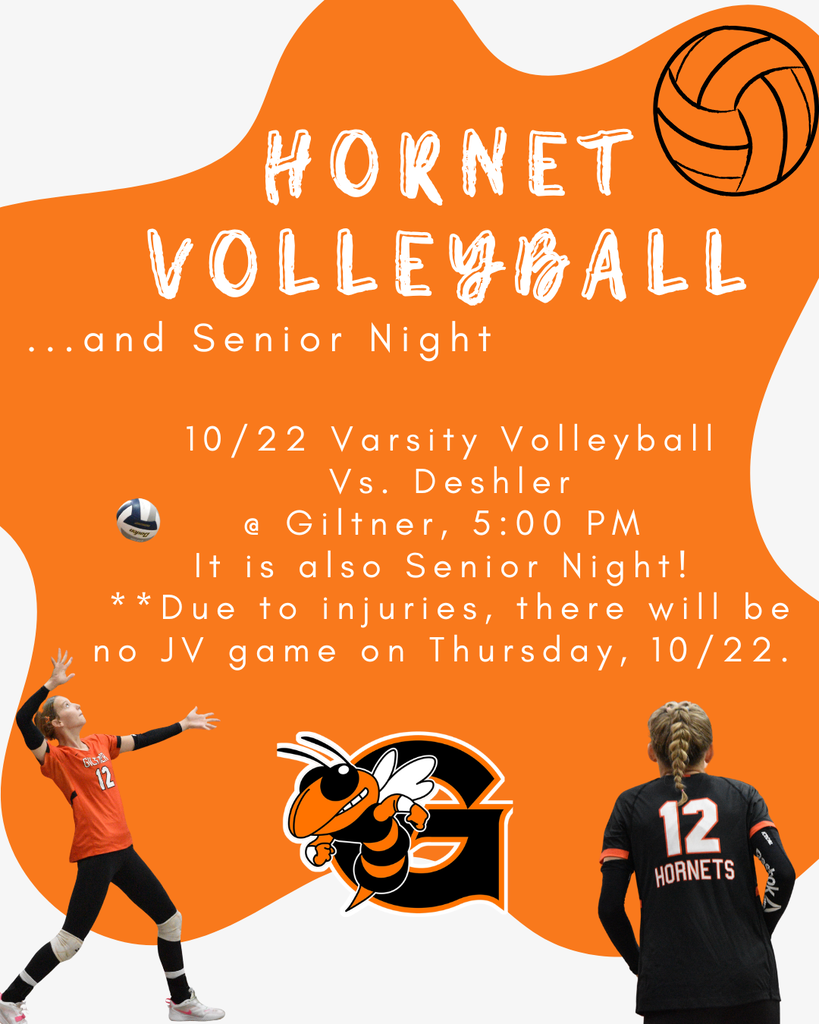 hornet volleyball