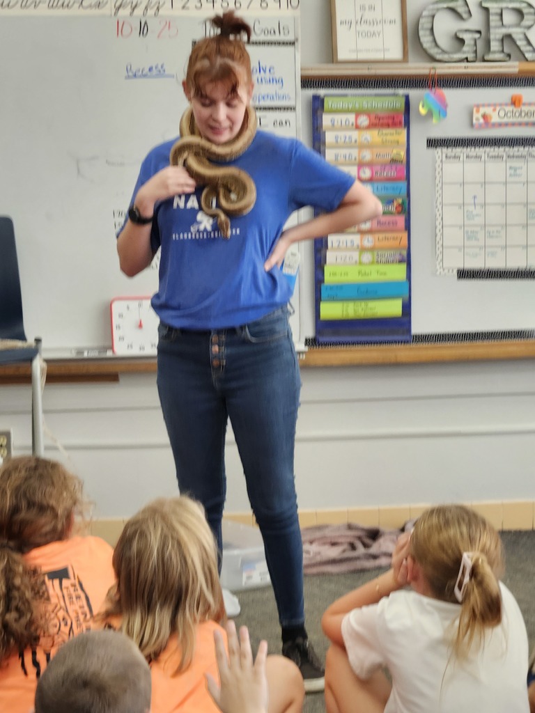 Learning about reptiles today.