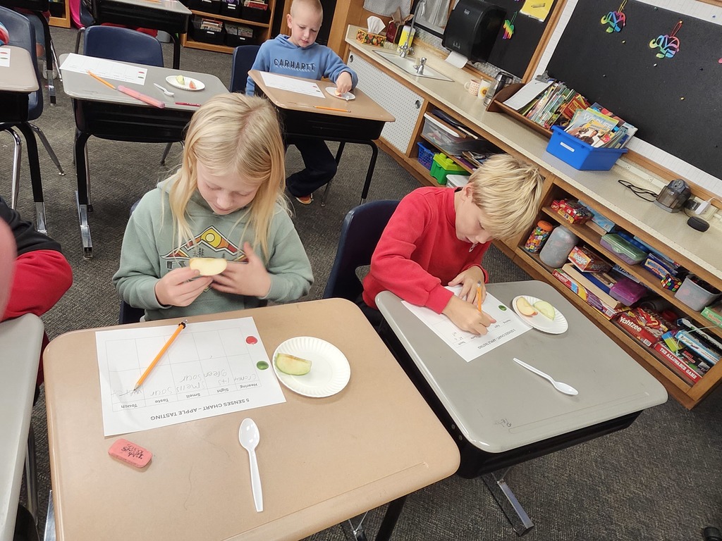 Using our senses to compare red and green apples.