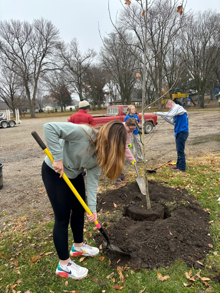 Busy putting trees in ground