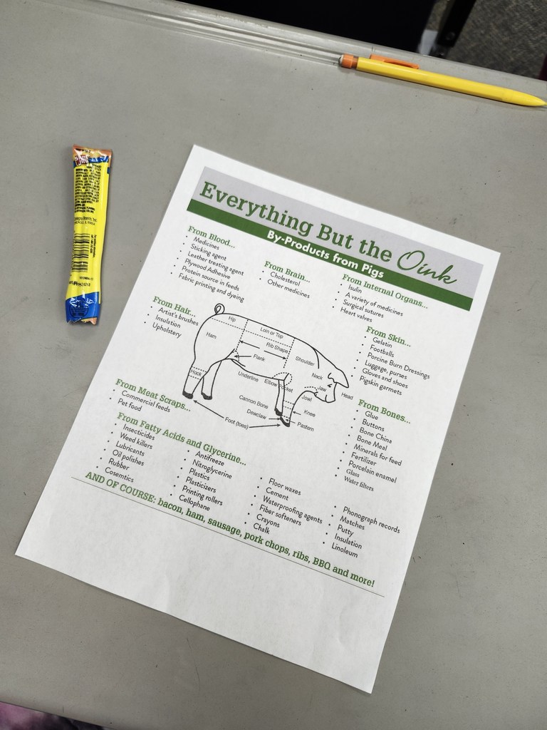 We learned about pigs in Ag in the Classroom.