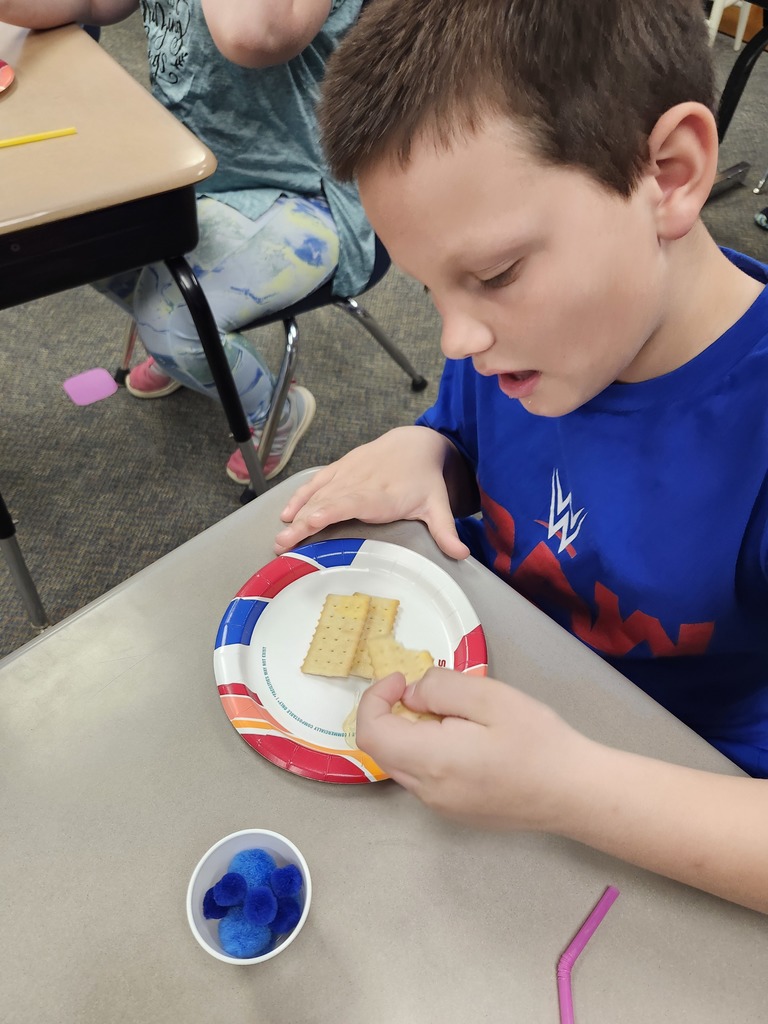 Trying different types of honey.