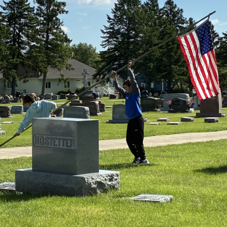 flags