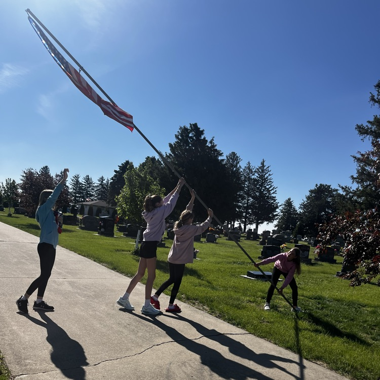flags