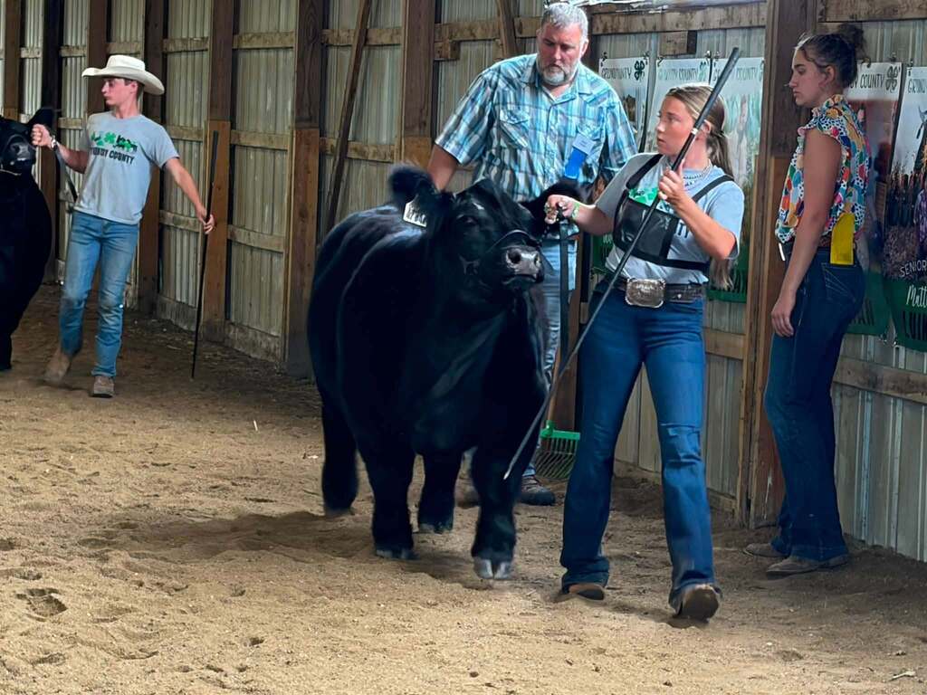 Prycely and her market heifer
