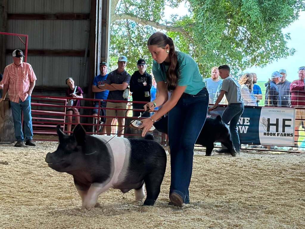 Kinzee and her pig