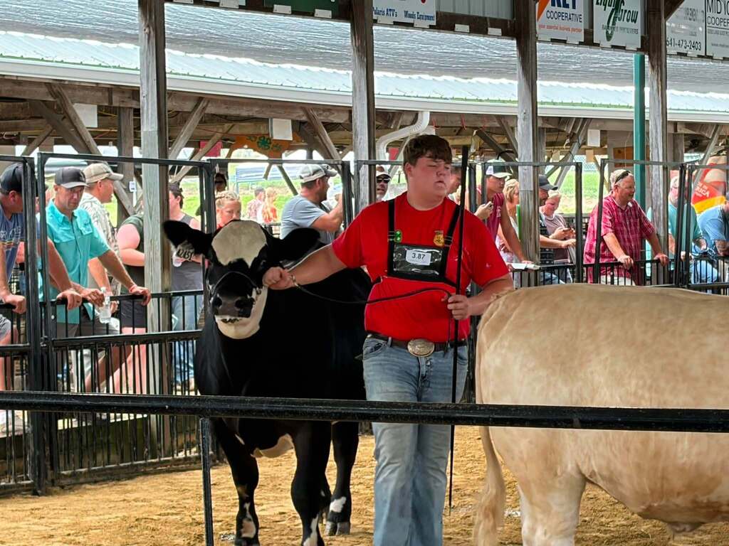 Parker and his Market Steer
