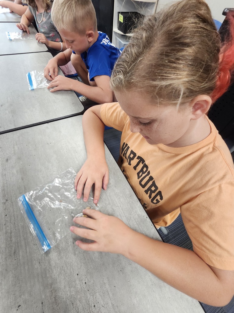 Figuring out the 4 types of corn.