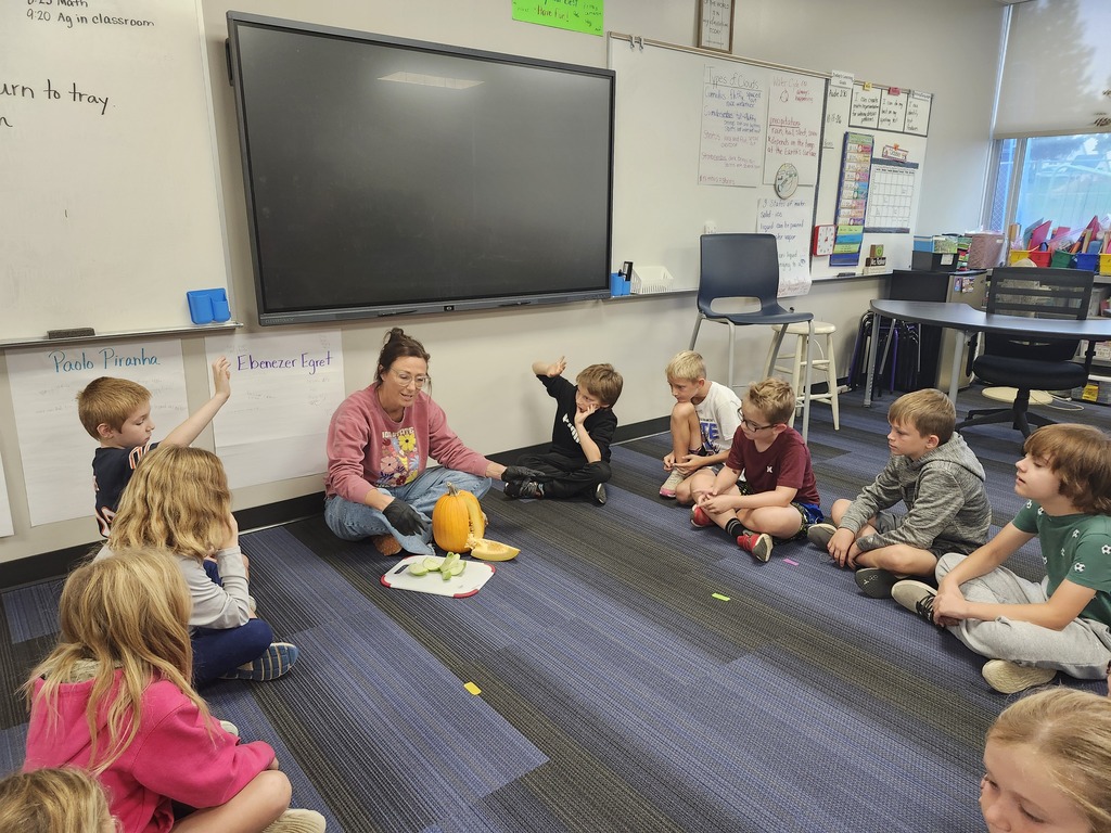 Discussing ways apples and pumpkins are alike.