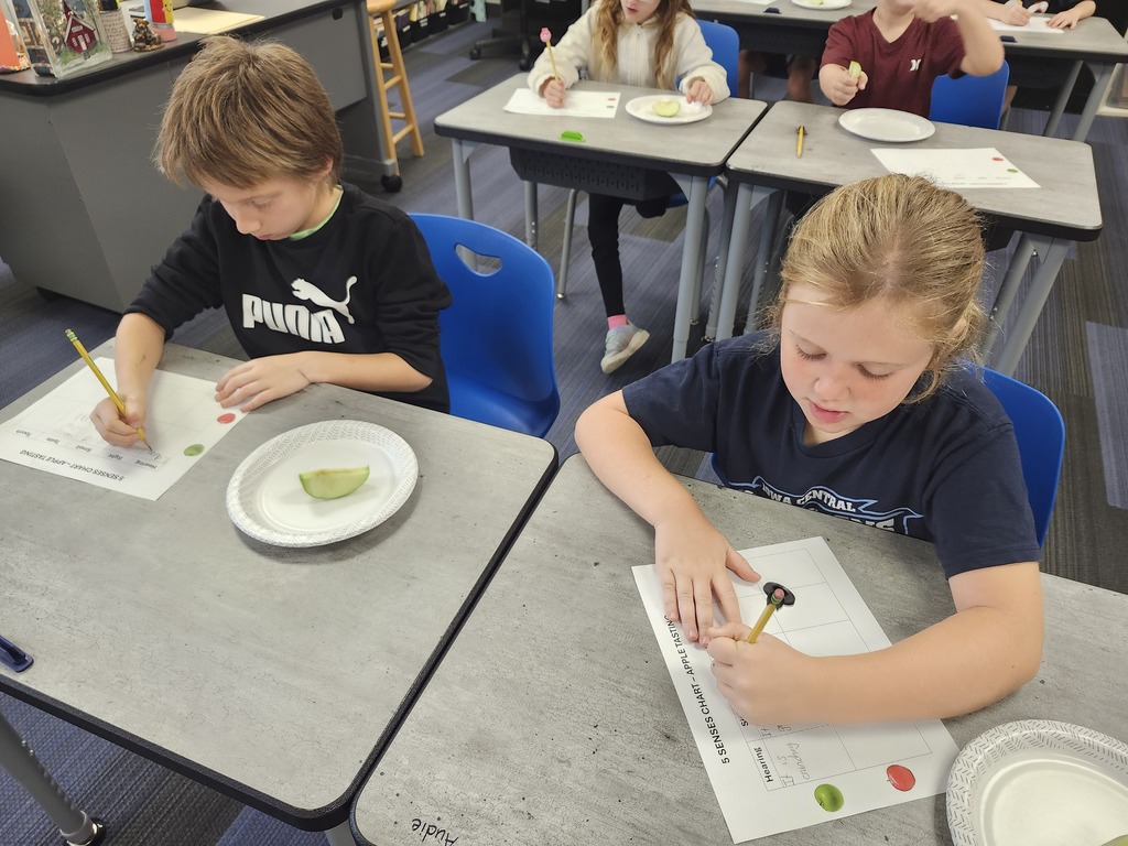 Comparing red and green apples