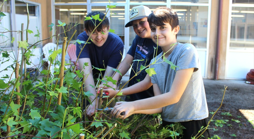 students in courtyard