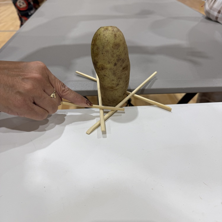 potato 