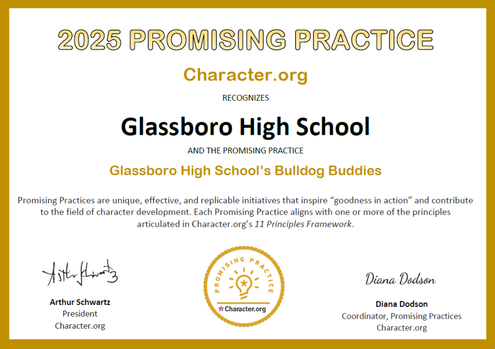 Promising Practice