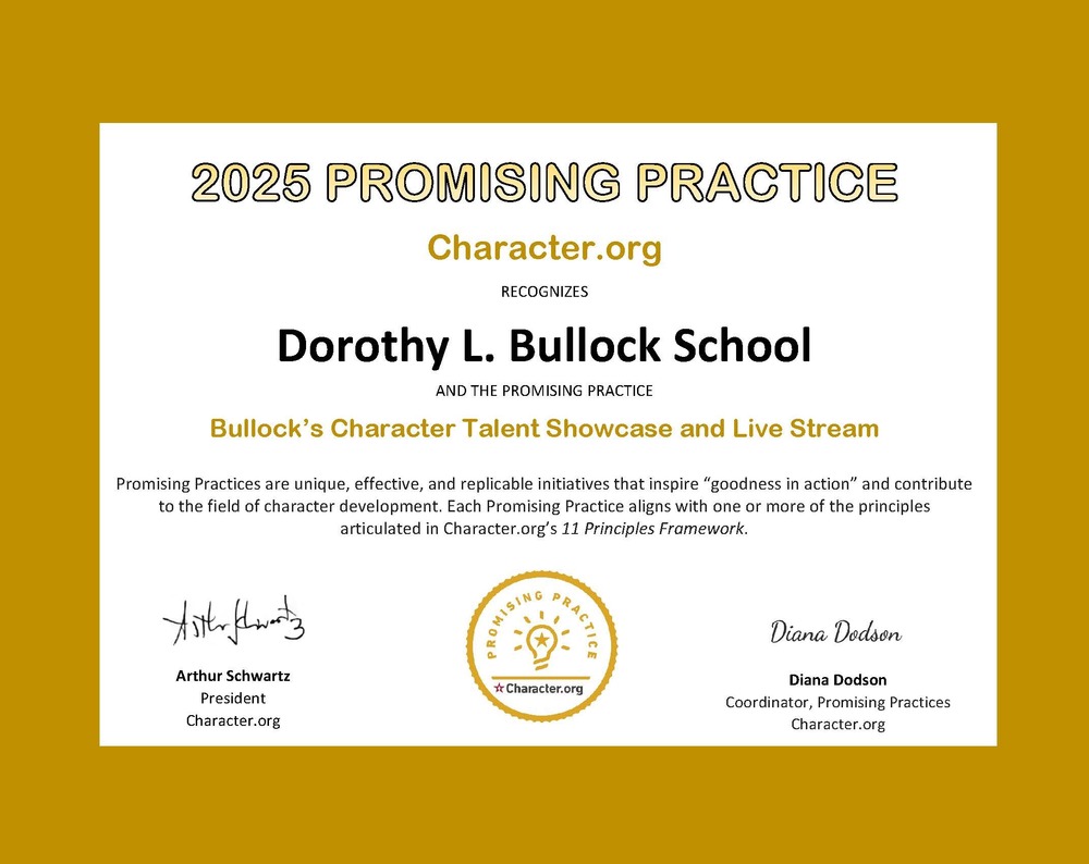Promising Practice 2025