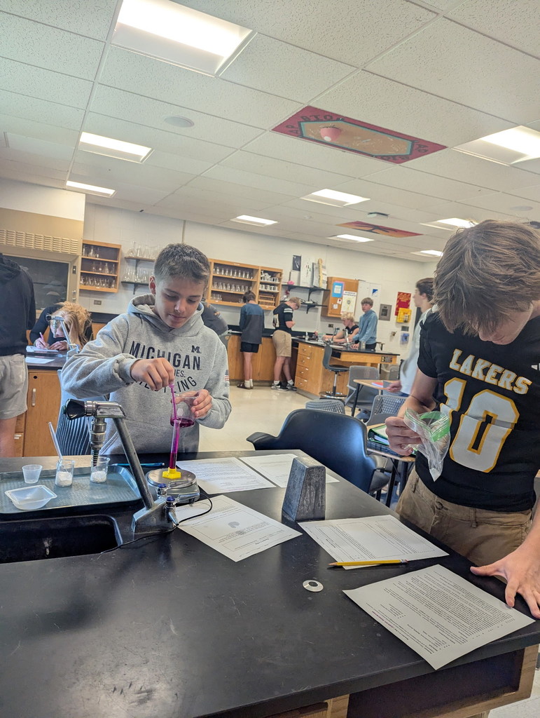 Chemical Reactions in a bag