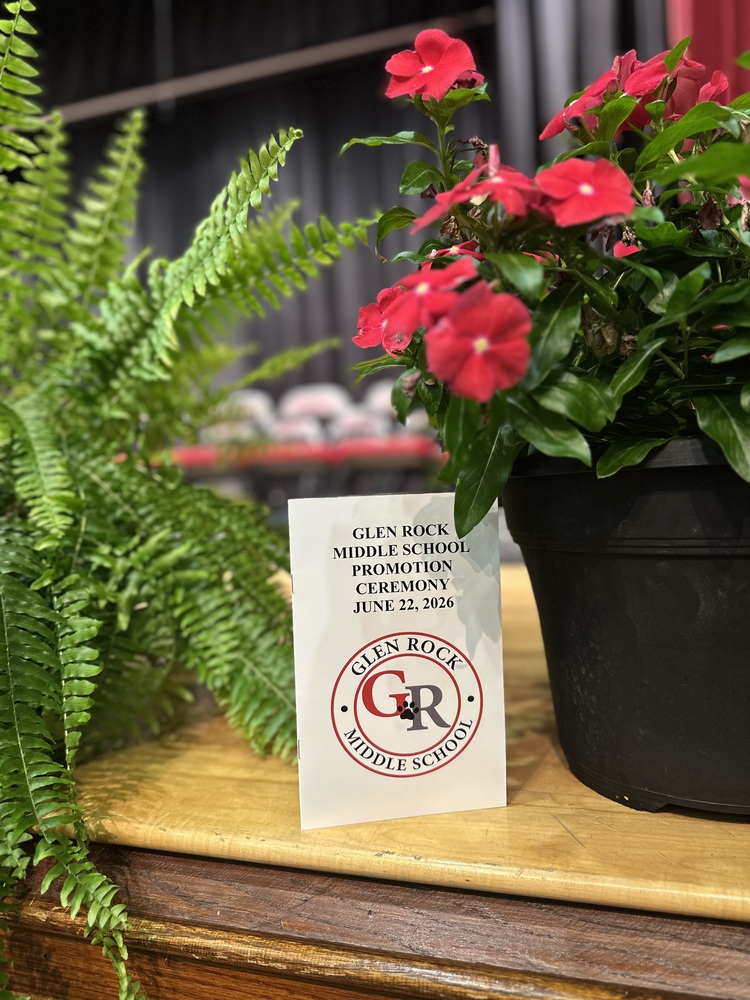 promotion program