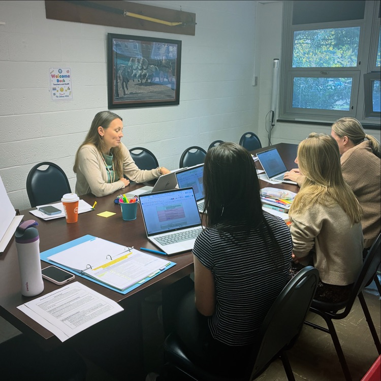 instructional coaches