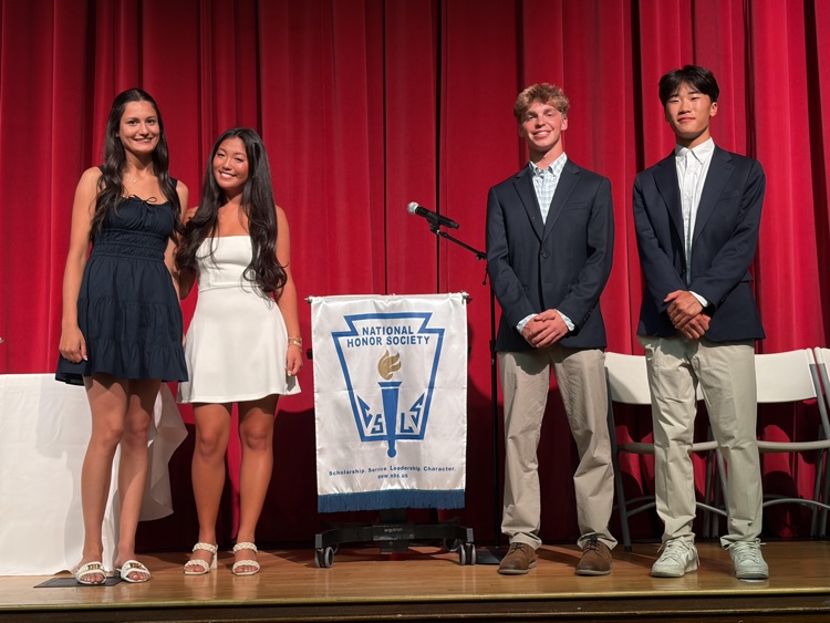 nhs chapter of distinction