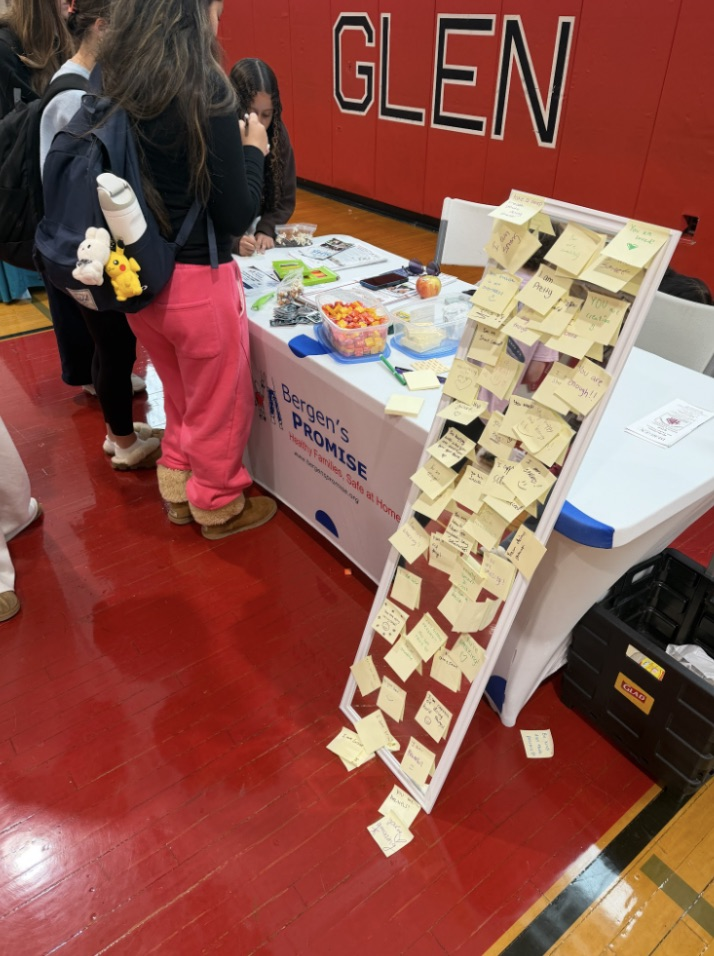 wellness fair