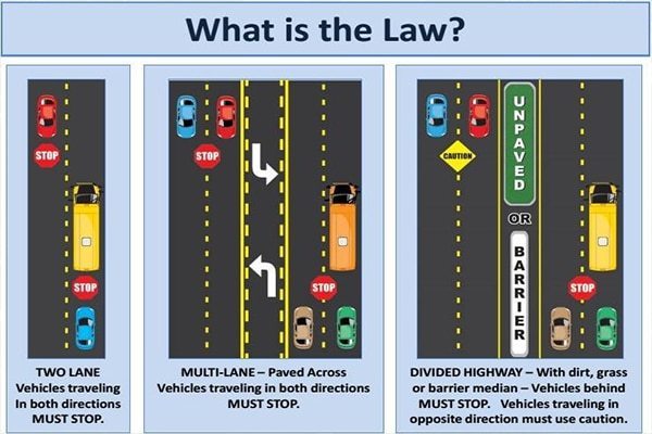 Stop for buses image