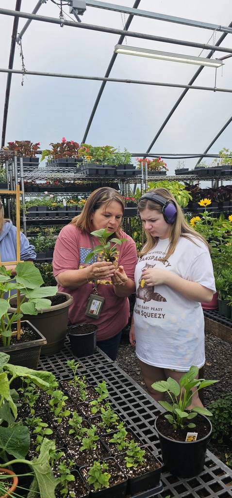 Students enjoyed the greenhouse.