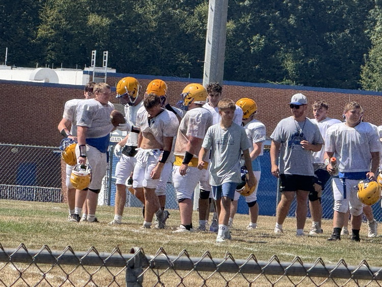 vikes