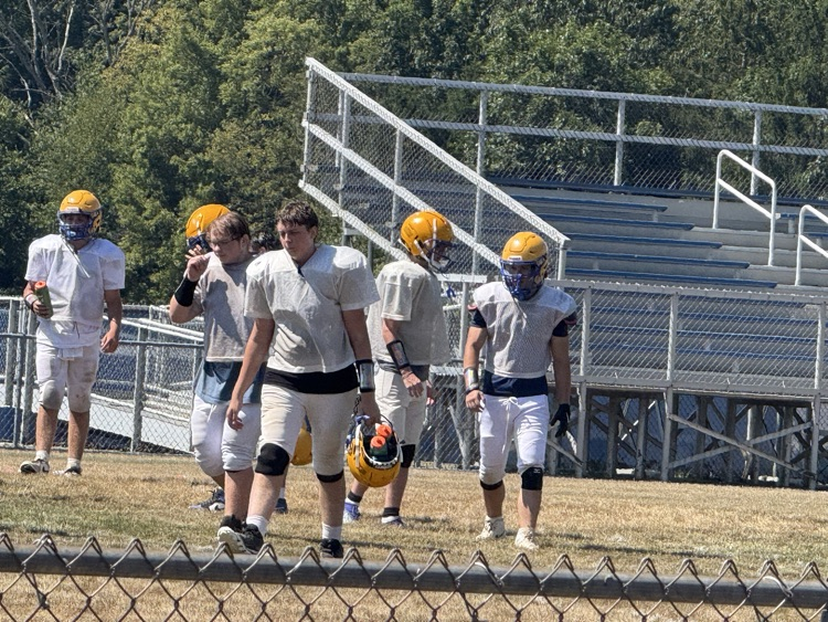 vikes