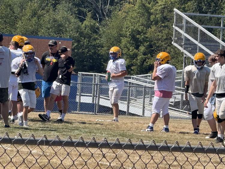 vikes