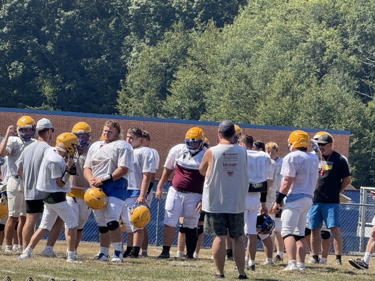 vikes