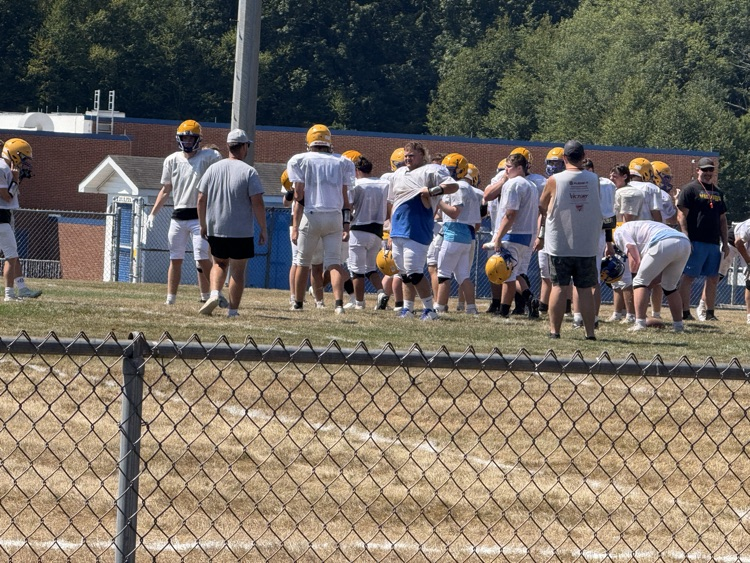 vikes