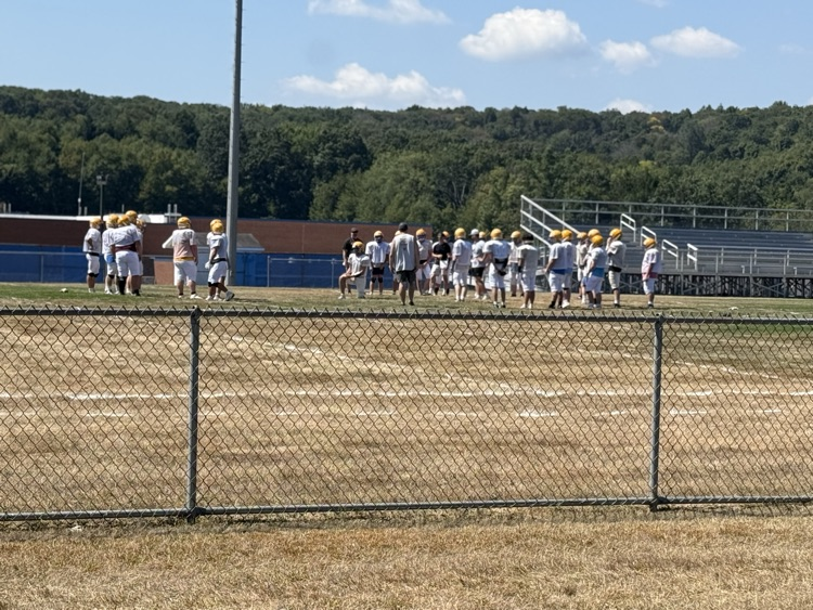 Vikes