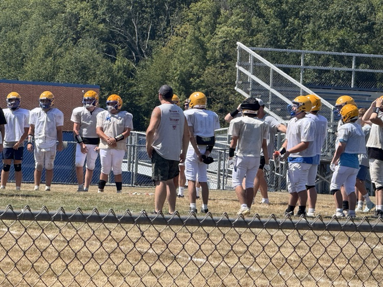 Vikes